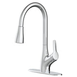 Clarivo 2-in-1 Filtration 1-Handle Pull Down Kitchen Faucet, Various Finishes