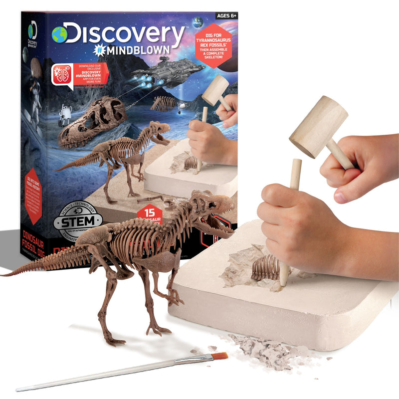 Dinosaur Skeleton T-Rex 3D Puzzle Excavation Kit/Educational Toy for Ages 6+ G0808