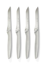 Stainless Steel Steak Knife Set, Dishwasher Safe, 4-pc
